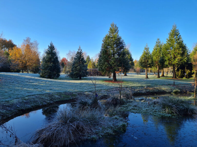 Bluebell Arboretum and nursery November 768x576