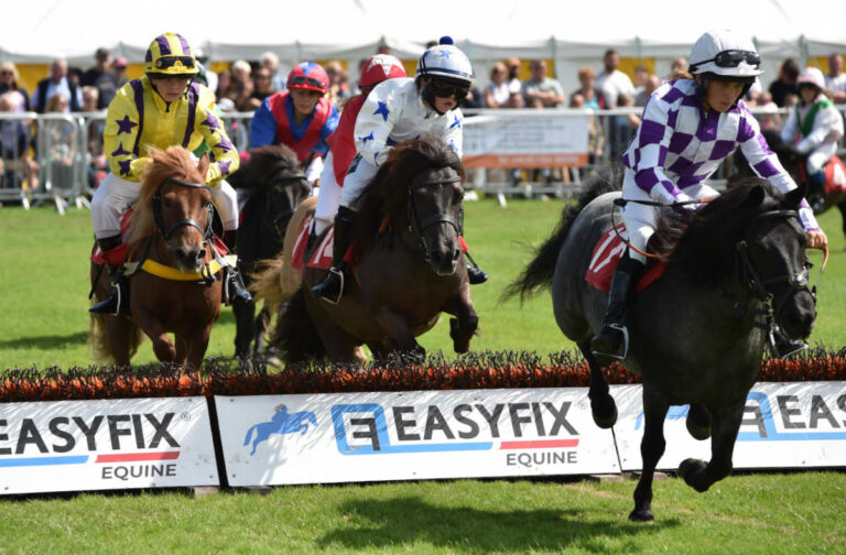 5. Shetland Pony grand National 1 768x504