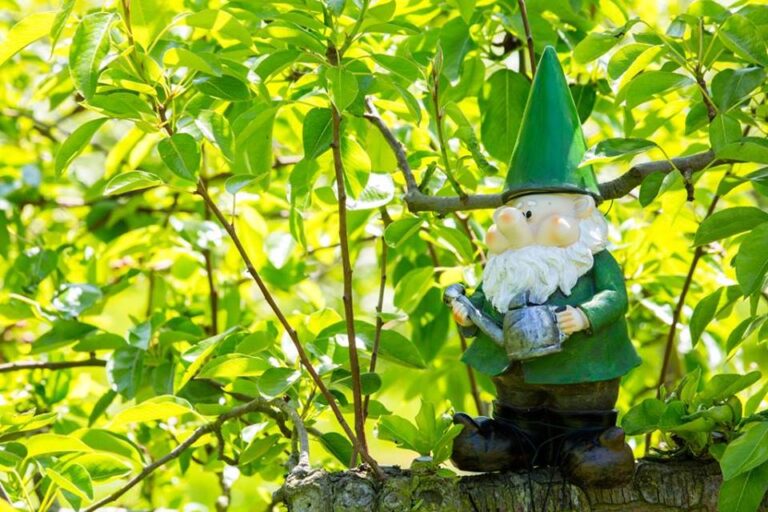 Gnometastic 768x512