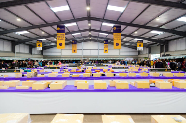 Frome cheese show 2018 16 768x511