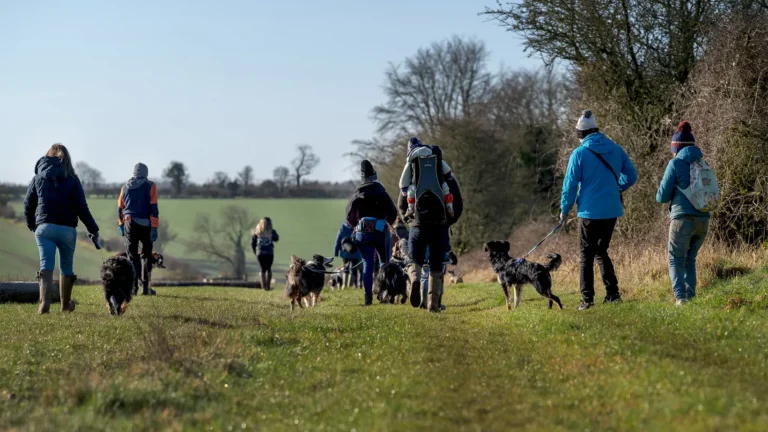 dog walk march 24 3.jpg 768x432