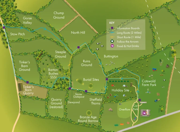 wildlife walk map.png 768x561
