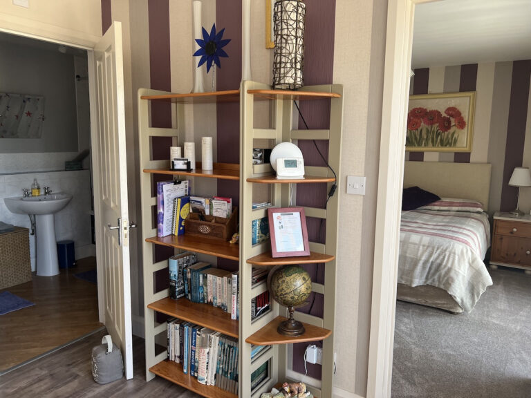 The Annex lounge bookcase 768x576