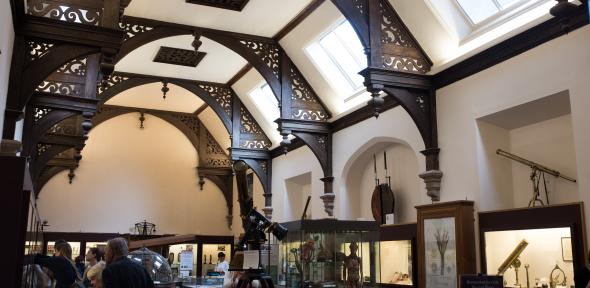 cam museums summer 438
