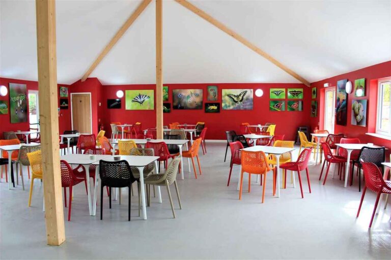 interior 1 768x512