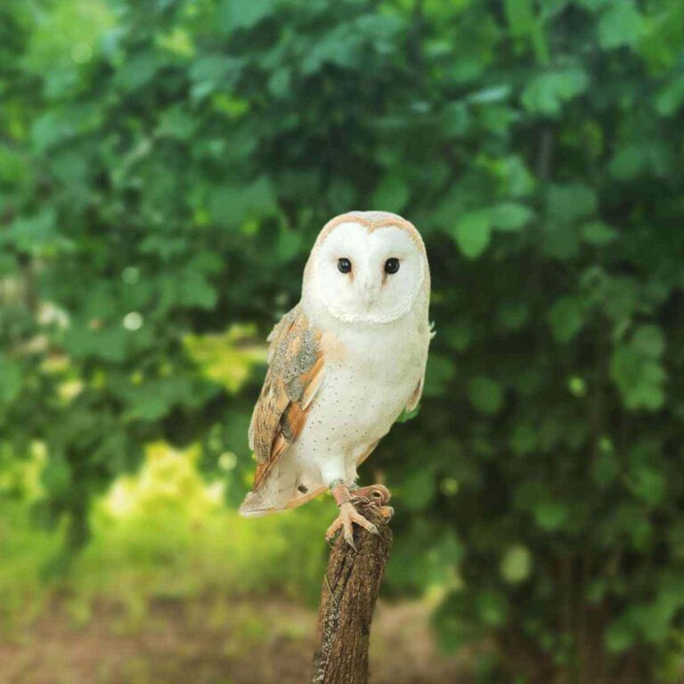 photo days 768x768