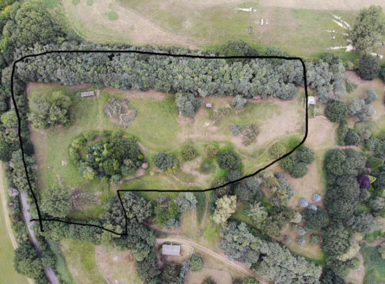 top down field 768x568
