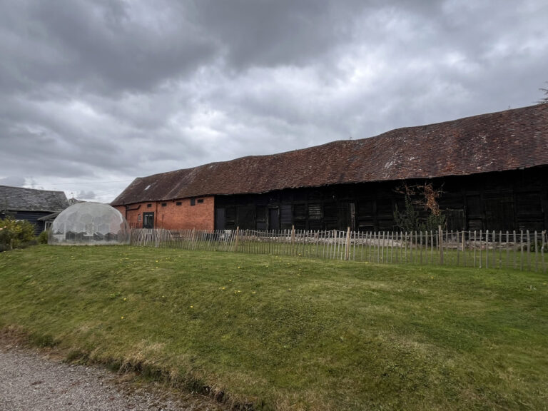 IMG 0705 768x576