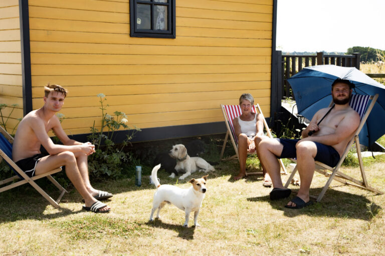 shepherd hut with friends dogs 768x511
