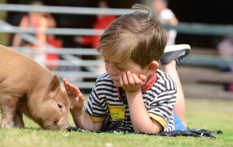 1. Pennywell Pig Boy With Pig Outside2 768x487