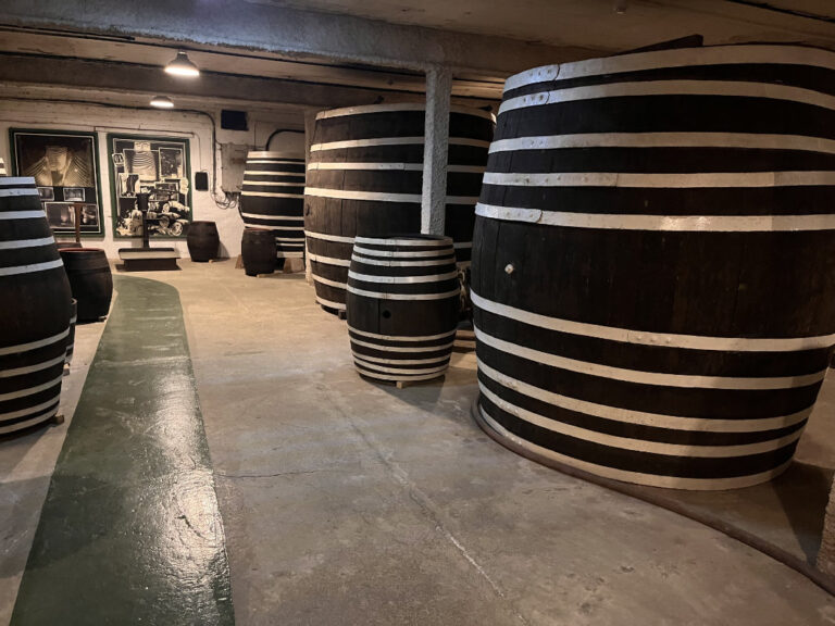 IMG 1049 768x576