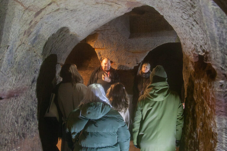 MG 4685 crop 768x512