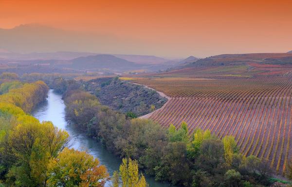 Rioja1 600px