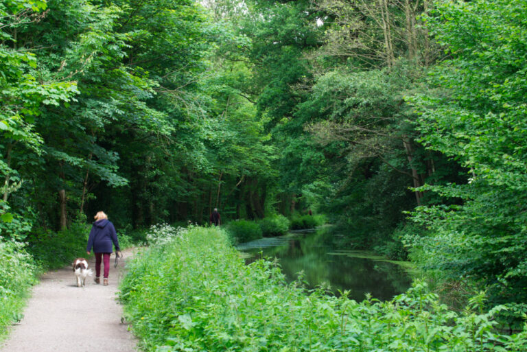 Cromford Canal 1 768x513