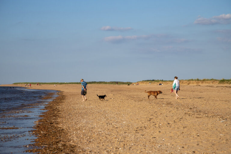 9 Holme dog walkers 768x512