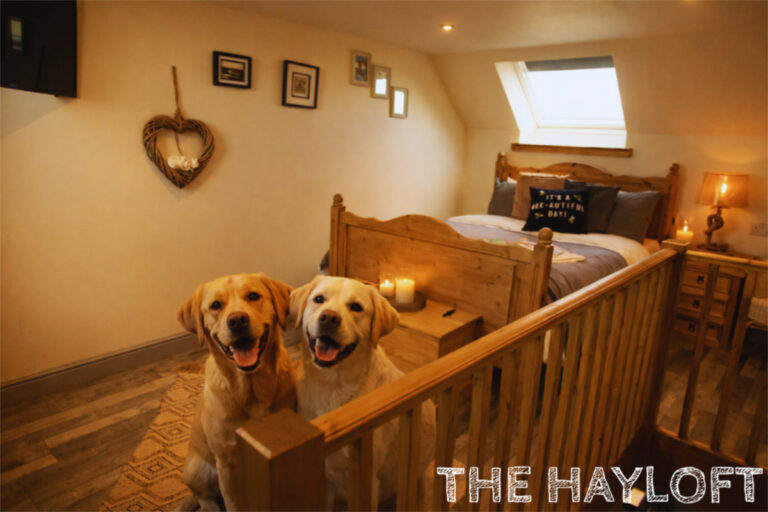 AIRBNB BB IMAGES 18 1 768x512