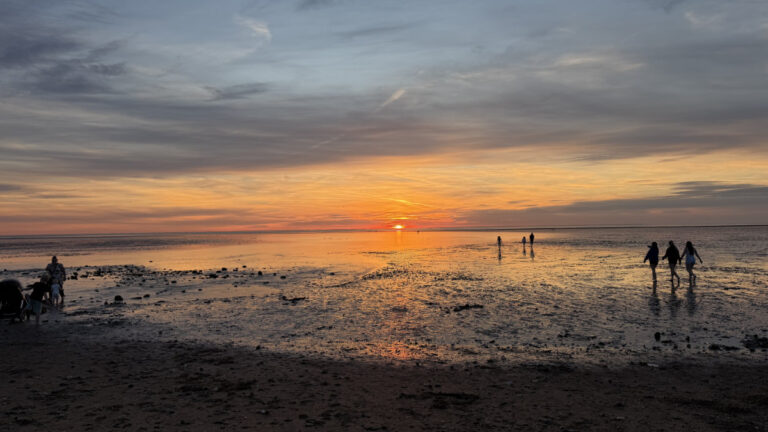 IMG 4967 1 768x432