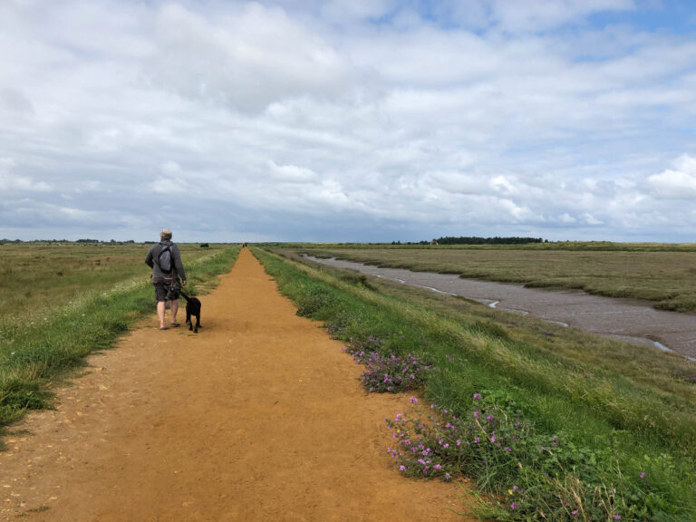 Norfolk coast path Thornham 768x576