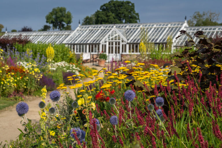 Orchid House by Colin Dilcock 1 768x512