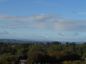 VIew from the decking area