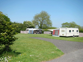 devon-woodlands-12