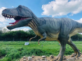 ResizerImage1280X960 trex