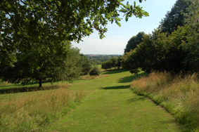 DSC 0057 Mown path