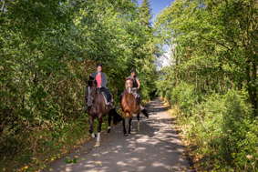 001 Shipley Park - Horses 005
